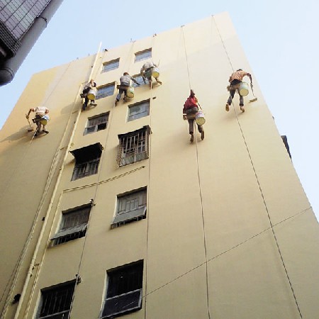 1618389094102221.jpg bw450_bh450_1617870455582533.jpg